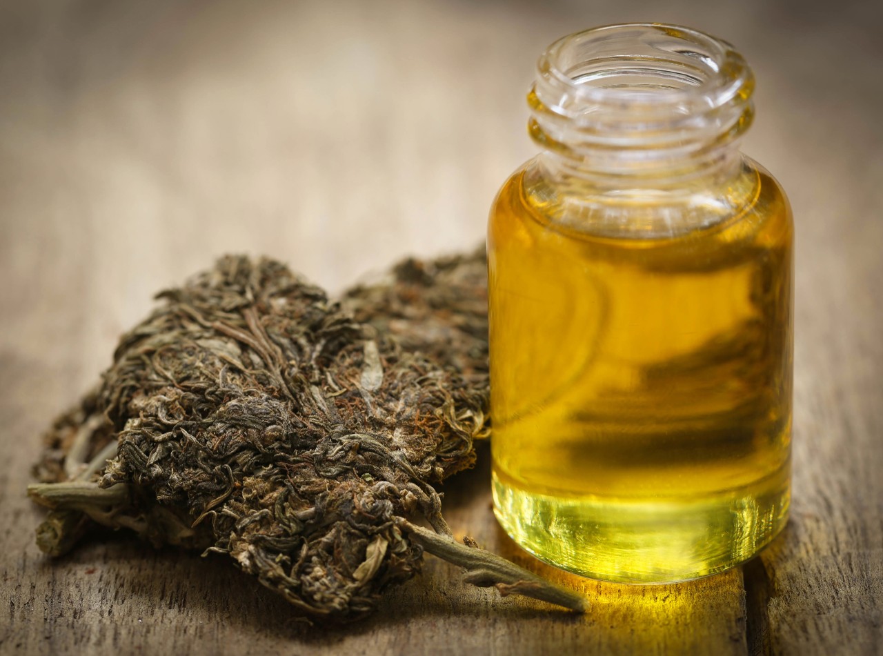 Cannabis Öl pressen mit System: Cbdladen und die Methoden von Wernard Bruining erklärt